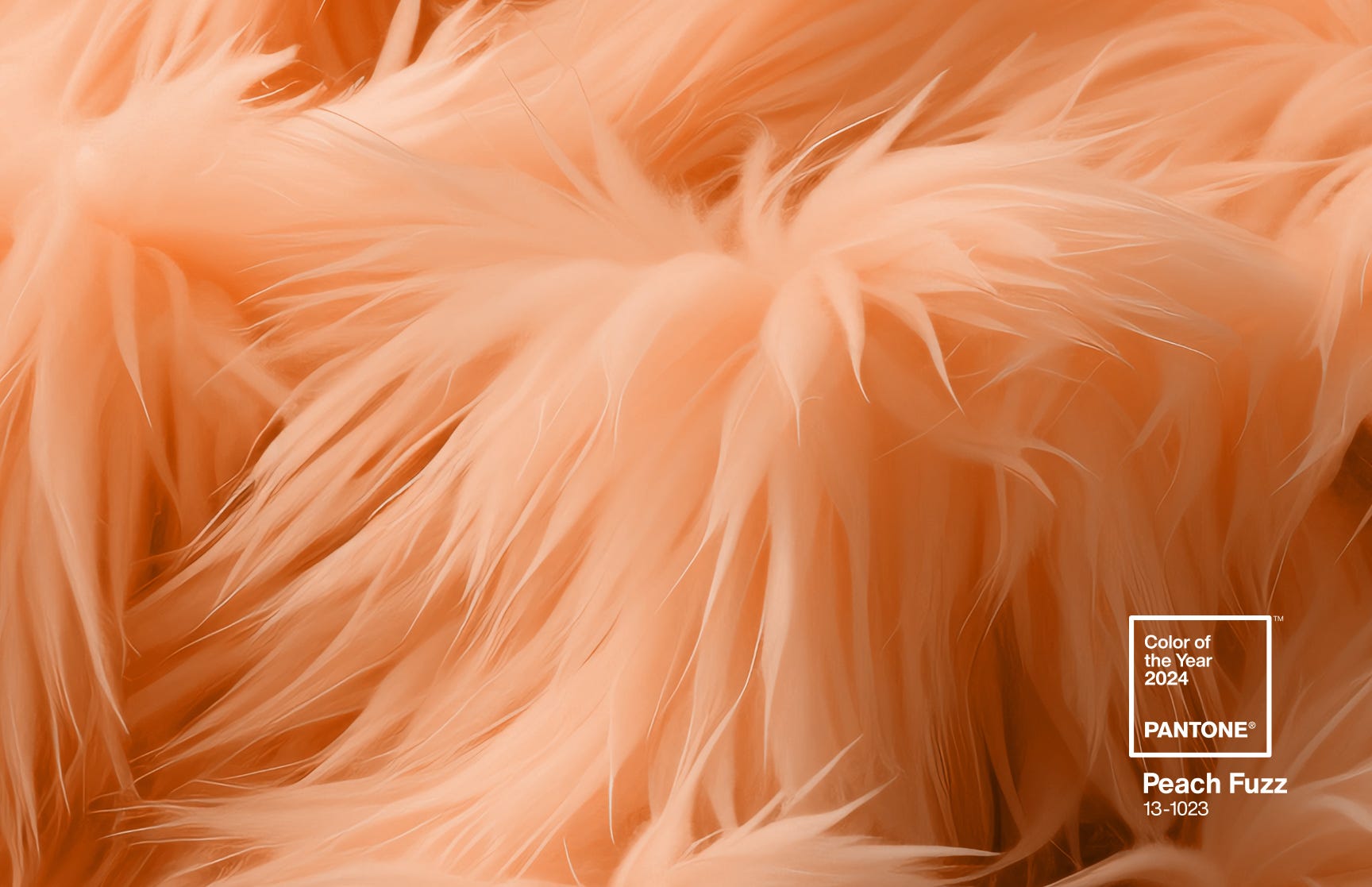 Pantone's Color of the Year 2024 Peach Fuzz Haden Interactive